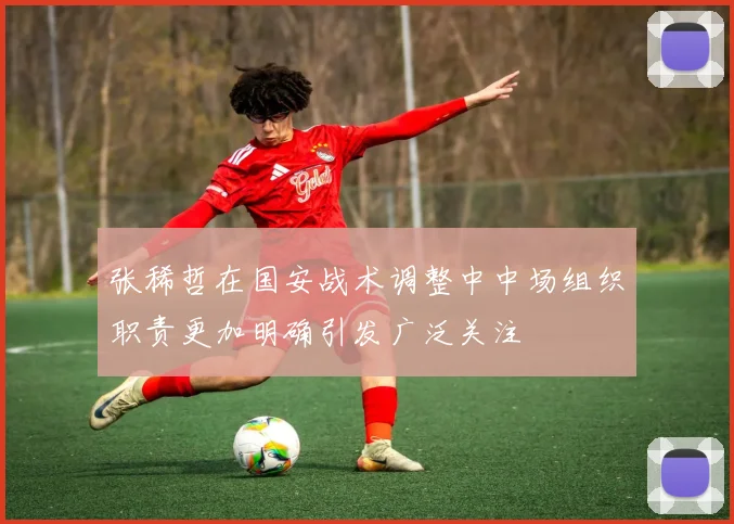 张稀哲在国安战术调整中中场组织职责更加明确引发广泛关注